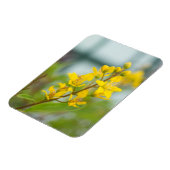 ゴールデントリアリス マグネット (左側)