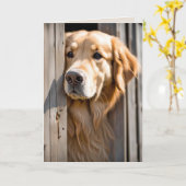 ゴールデントリーバーインバーンドア誕生日 カード (黄色い花)