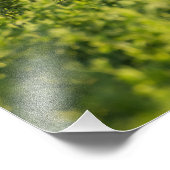 ゴールデントリーバーインフィールズ写真プリント フォトプリント            (角)