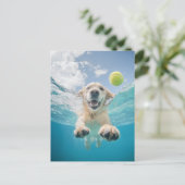 ゴールデントリーバーダイビングテニスボール水中 ポストカード (スタンド正面)