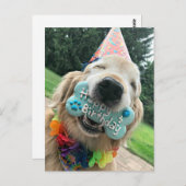 ゴールデントリーバードッグとトリートハッピーバースデー ポストカード (正面/裏面)