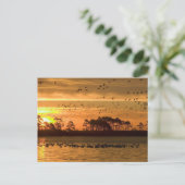 ゴールデントワイライトセレニティチンコテアグ ポストカード (スタンド正面)