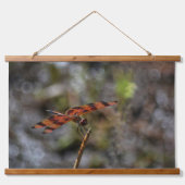 ゴールデントンボ写真 吊り下げ型タペストリー (正面)