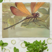 ゴールデントンボ キッチンタオル (折り畳み)