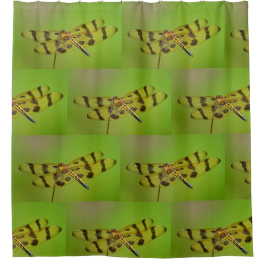 ゴールデントンボ シャワーカーテン (正面)
