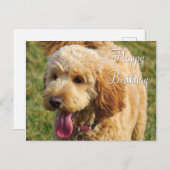 ゴールデンドゥードル犬の誕生日おめでとう ポストカード (正面/裏面)