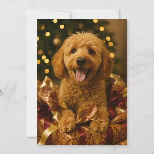 ゴールデンドゥードル クリスマスカード 招待状 (正面)
