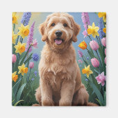 ゴールデンドゥードル 犬 春の花 絵画 マグネット (正面)