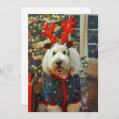 ゴールデンドゥールホーム休暇 シーズンカード (正面/裏面)