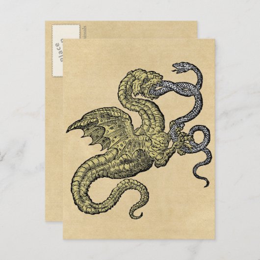 ゴールデンドラゴンファイティングスネーク ポストカード (正面/裏面)