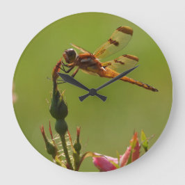 ゴールデンドラゴンフライオングリーン ラージ壁時計