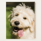 ゴールデンドルの子犬 プランナー手帳 (裏面)