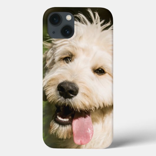 ゴールデンドルの子犬 Case-Mate iPhoneケース (裏面)