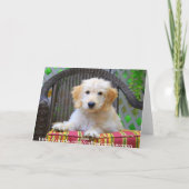 ゴールデンドードルの子犬のグリーティングカード カード (裏面)