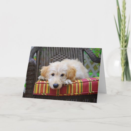 ゴールデンドードルの子犬のグリーティングカード カード (正面)