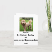 ゴールデンドードルステラ カード (裏面)