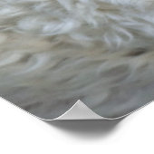 ゴールデンドードルパピーズ ポスター (角)