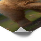 ゴールデンドードルパピーボ遊ール ポスター (角)