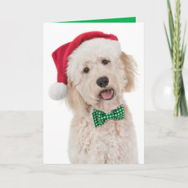 ゴールデンドードル付きホリデーカード カード