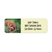 ゴールデンドードル差出人住所ラベル ラベル (正面)