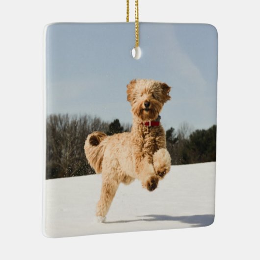 ゴールデンドーランニングルズスルーフィールド セラミックオーナメント (右)