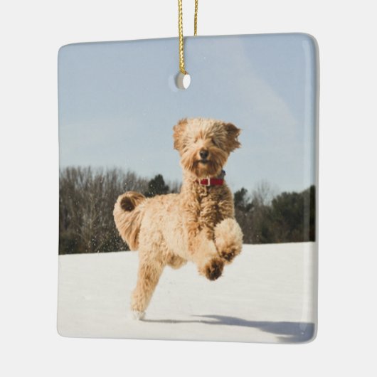 ゴールデンドーランニングルズスルーフィールド セラミックオーナメント (左)