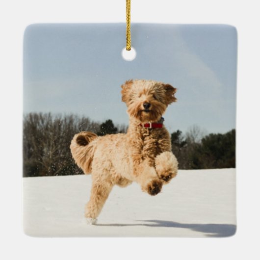 ゴールデンドーランニングルズスルーフィールド セラミックオーナメント (裏面)