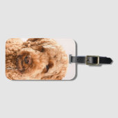 ゴールデンドールスタジオポートレート ラゲッジタグ (正面横)