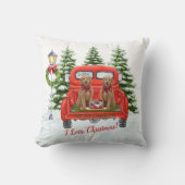 ゴールデンドールレッドヴィンテージトラックファミリー名 クッション (正面)