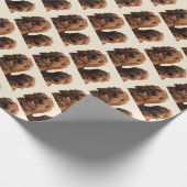 ゴールデンドール兄弟 ラッピングペーパー (角)