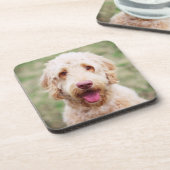 ゴールデンドール笑い コースター (左側)