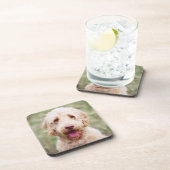 ゴールデンドール笑い コースター (右側)