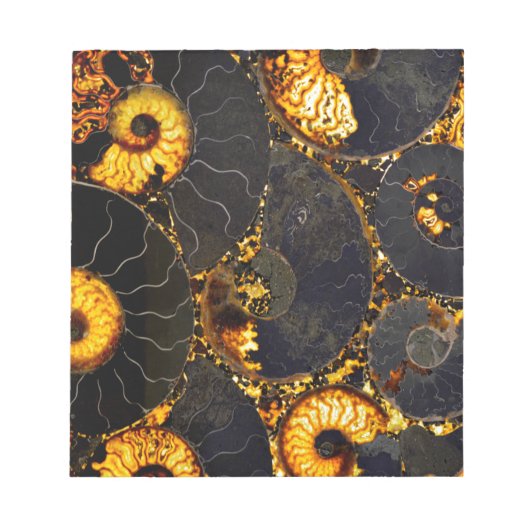 ゴールデンナウティラス ノートパッド (正面)