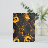 ゴールデンナウティラス ポストカード (スタンド正面)