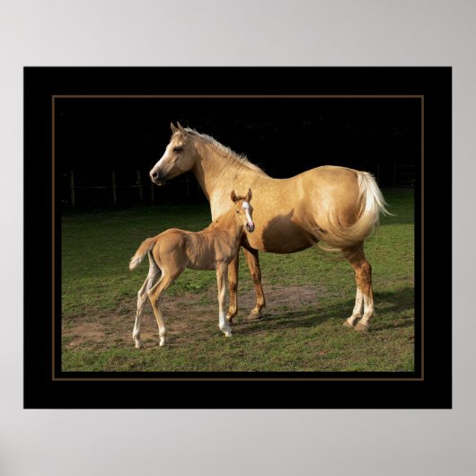 ゴールデンナゲット ポスター (正面)