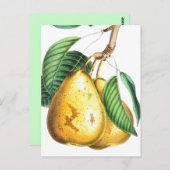 ゴールデンナシレシピカード ポストカード (正面/裏面)