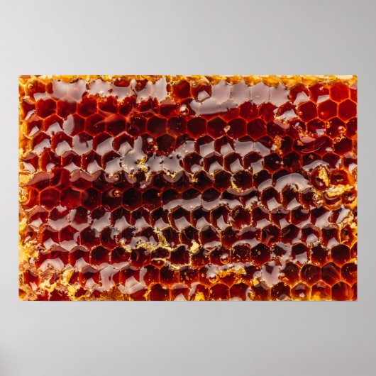ゴールデンハニカム ポスター (正面)