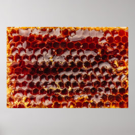 ゴールデンハニカム ポスター