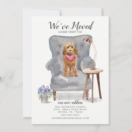 ゴールデンハニーコックパプーの動きのお知らせ 案内状 (正面)