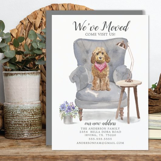 ゴールデンハニーコックパプーの動きのお知らせ 案内状