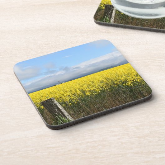 ゴールデンハーベストコースター コースター (左側)