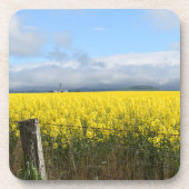 ゴールデンハーベストコースター コースター (正面)