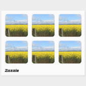 ゴールデンハーベストスクエアステッカー スクエアシール (シート)