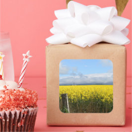 ゴールデンハーベストスクエアステッカー スクエアシール