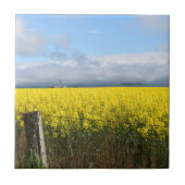 ゴールデンハーベストセラミックタイル タイル (正面)