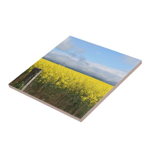 ゴールデンハーベストセラミックタイル タイル (側面)