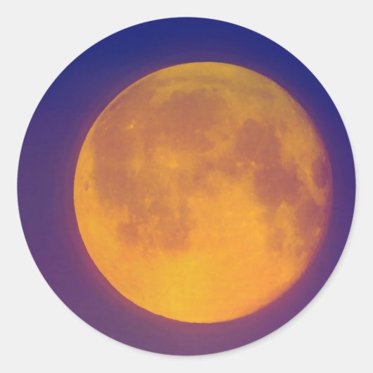 ゴールデンハーベストムーンラウンドステッカー ラウンドシール (正面)