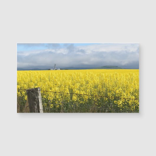 ゴールデンハーベスト磁気カード (正面)