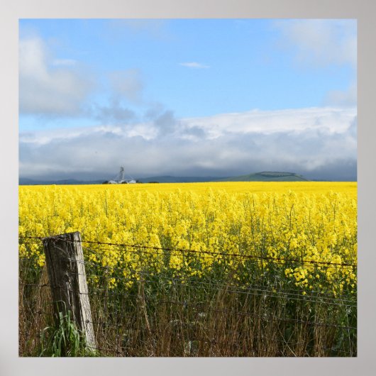 ゴールデンハーベスト ポスター (正面)