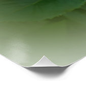 ゴールデンバラ ポスター (コーナー)